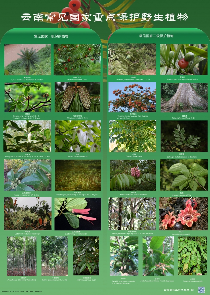 以案普法：：：：抑氐惚；ぶ参镒